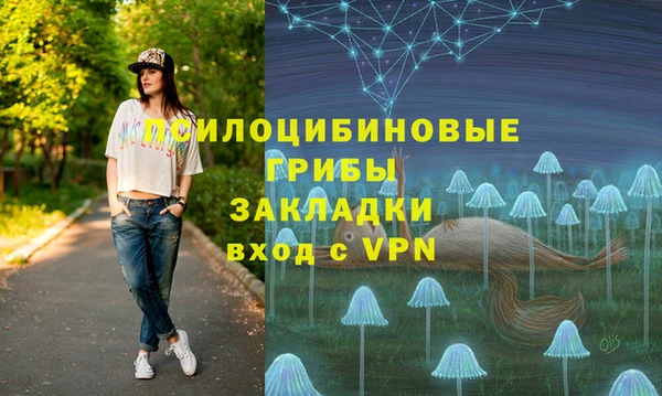 не бодяженный Абаза