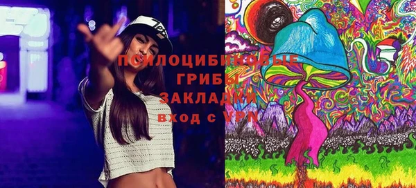 не бодяженный Абаза