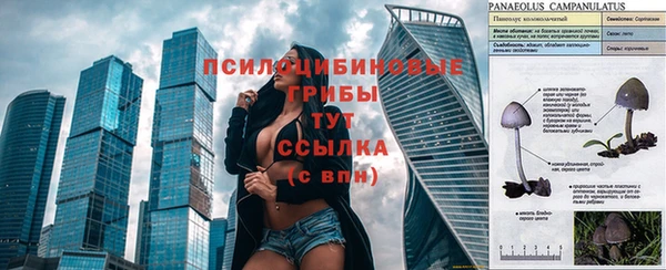 бутират Абинск